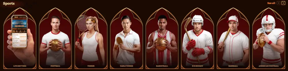 Κατηγορίες στοιχημάτων Wild Robin και προεπισκόπηση διεπαφής κινητής εφαρμογής